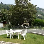 Helianthus Cannero Riviera