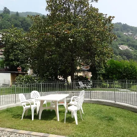 Helianthus Cannero Riviera