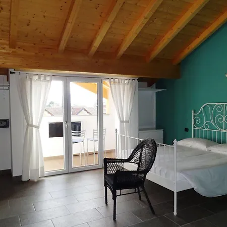 Helianthus Cannero Riviera