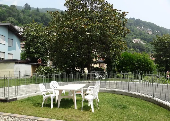 Helianthus Cannero Riviera